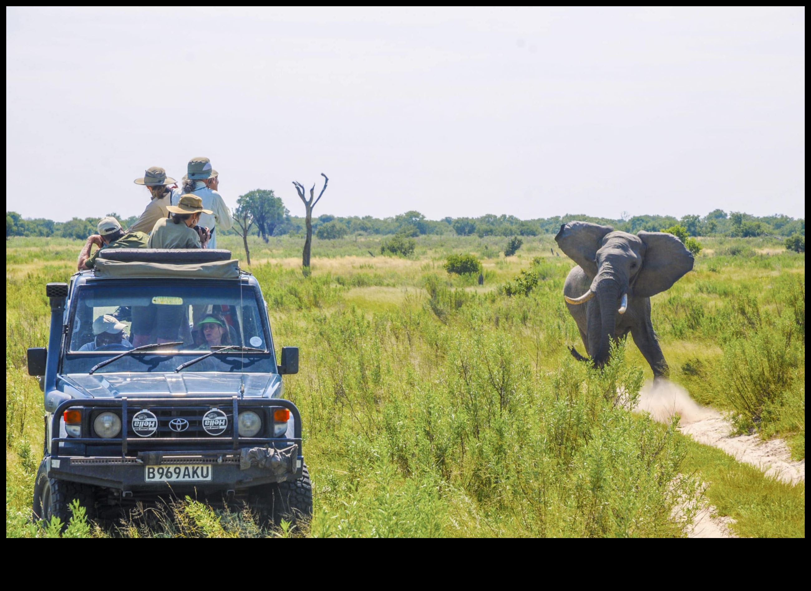 Pilsētas safari Mūsdienīgs skatījums uz tuksneša izpēti 5 Pilsētas safari: tuksneša izpēte pilsētas modē