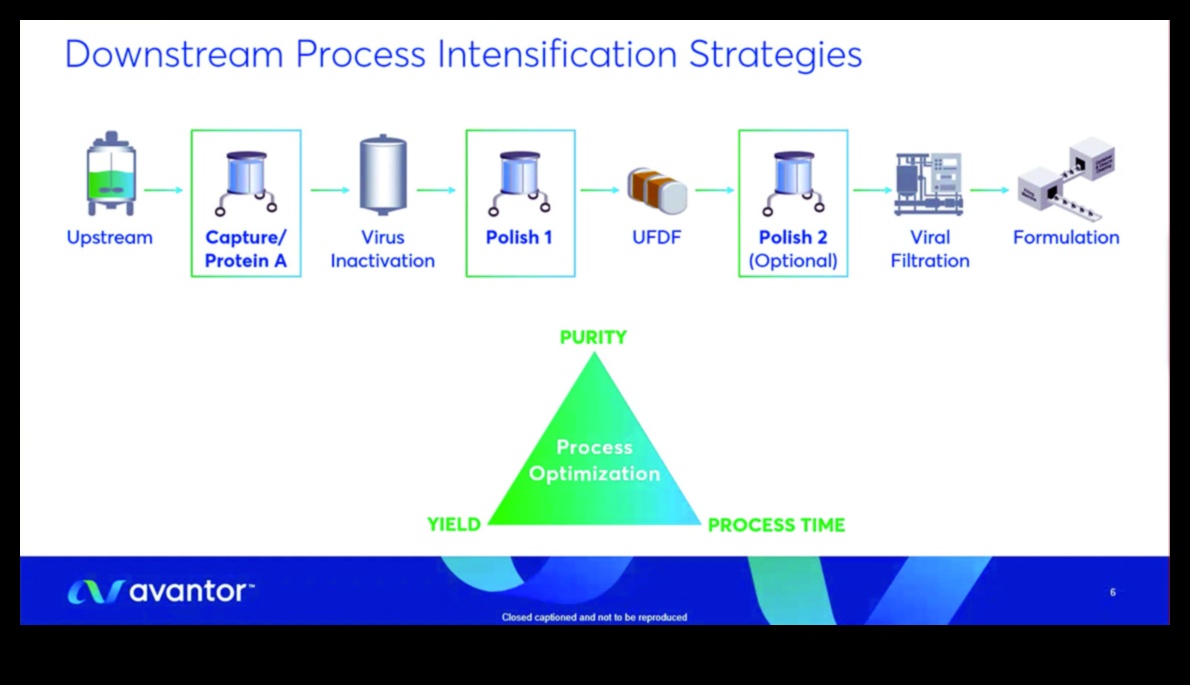 Procesa uzplaukums Kā paātrināt izaugsmi, izmantojot stratēģiskās darbības 3 Procesa uzplaukums: izaugsmes paātrināšana, izmantojot stratēģiskas darbības