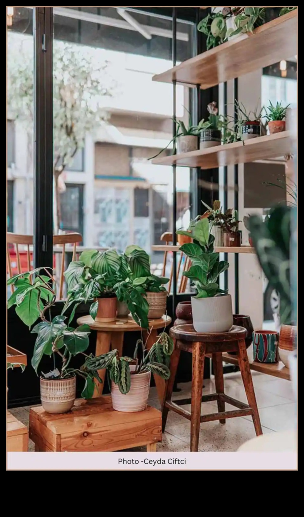 Ieelpojiet savu ainavu: valdzinošs dārza dekors