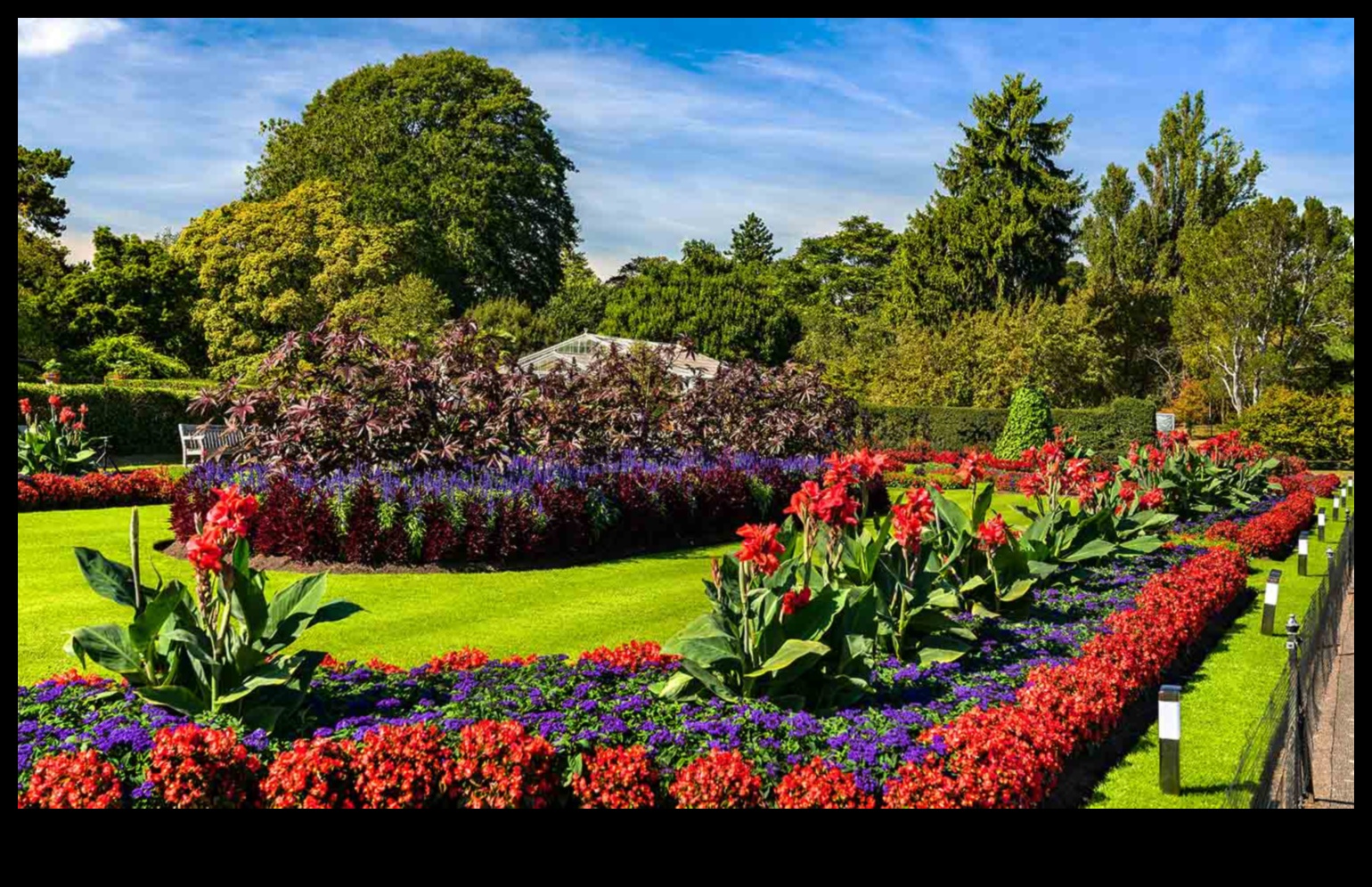 Apstādījumu varenība: DIY brīnumi jūsu satriecošajam dārzam