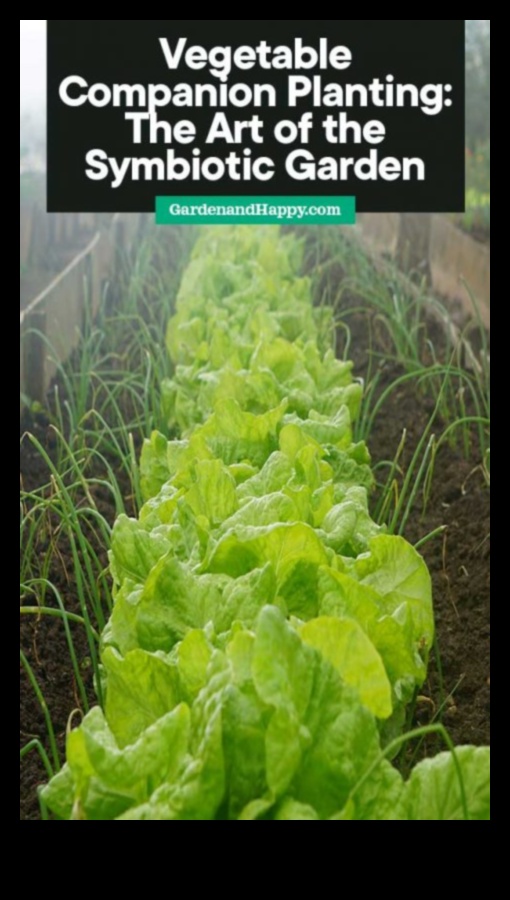 Simbiotiski ziedi Kā izaudzēt vairāk dārzeņu, stādot kopā ar tiem 2 Simbiotiski ziedi: atklājiet pavadošās stādīšanas noslēpumus