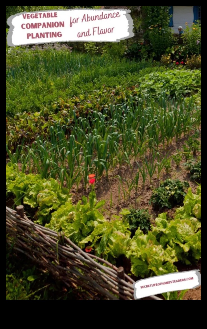 Simbiotiski ziedi Kā izaudzēt vairāk dārzeņu, stādot kopā ar tiem 5 Simbiotiski ziedi: atklājiet pavadošās stādīšanas noslēpumus