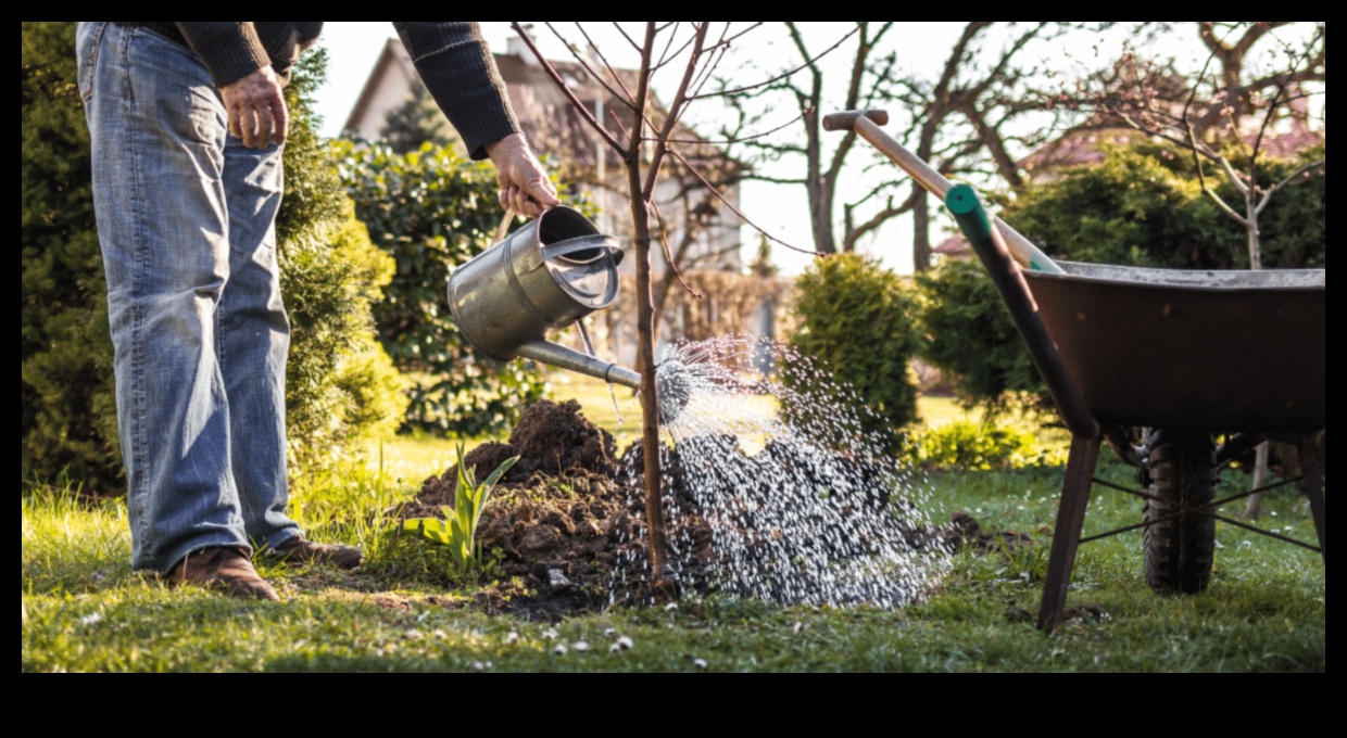 Sējiet, audzējiet, izgaismojiet DIY projektus, lai pārveidotu savu āra telpu 3 Sēj, audzē, mirdz: DIY projekti mirdzošai āra telpai