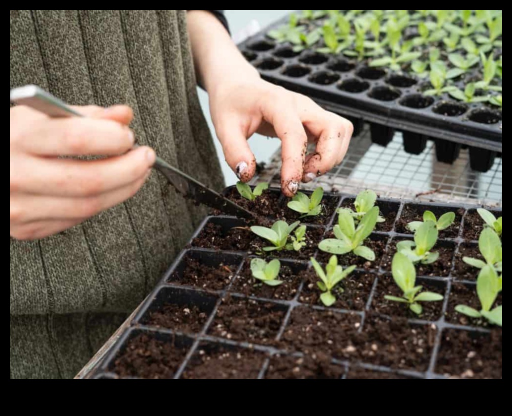 Ilgtspējīgi asni audzē zaļākus dārzus, izmantojot videi draudzīgu praksi 2 Ilgtspējīgi asni: videi draudzīga dārza kopšanas prakse