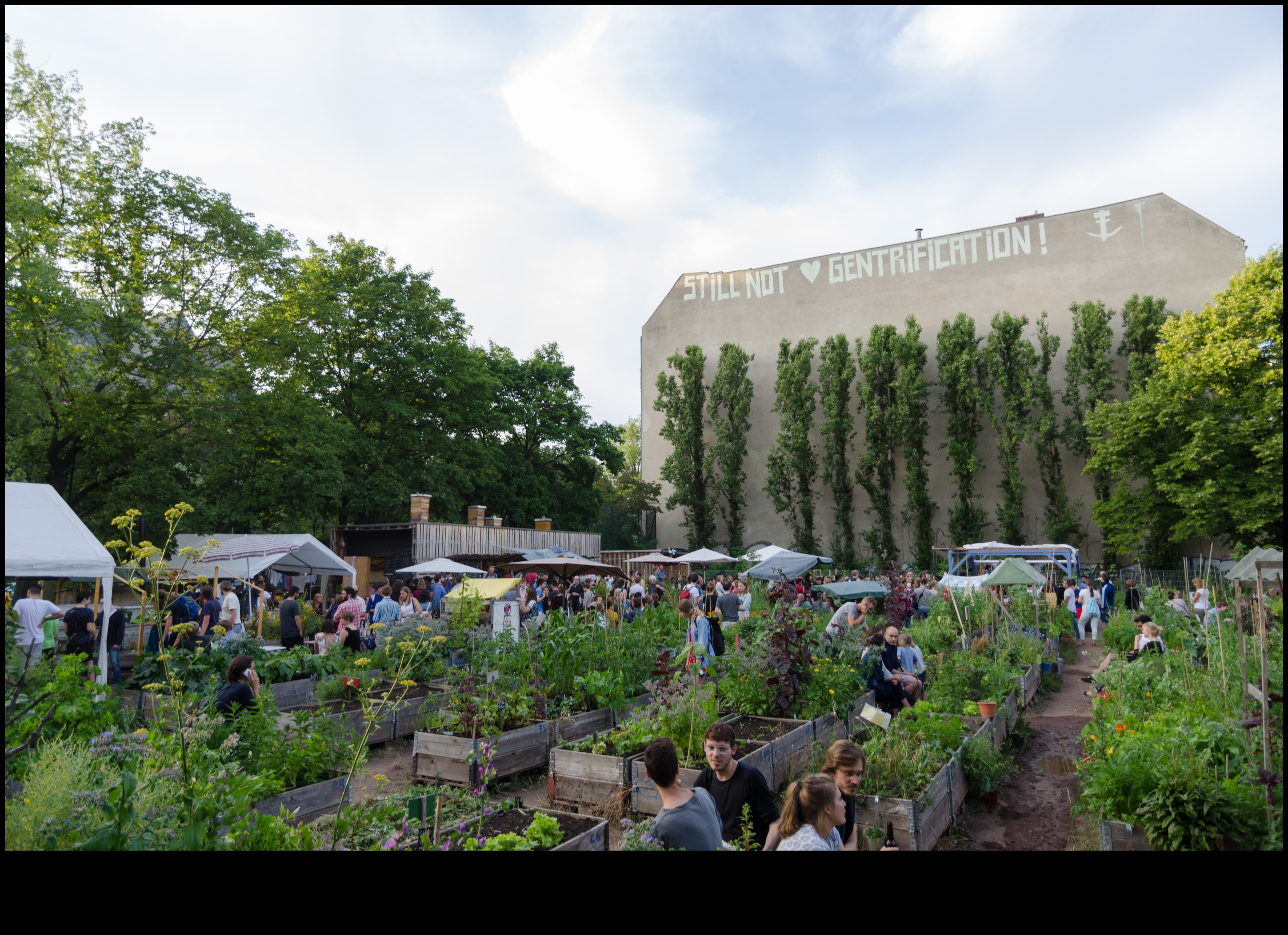 Zaļās perspektīvas izstrāde: māksla, izmantojot dažādus objektīvus videi draudzīgā tehnoloģijā