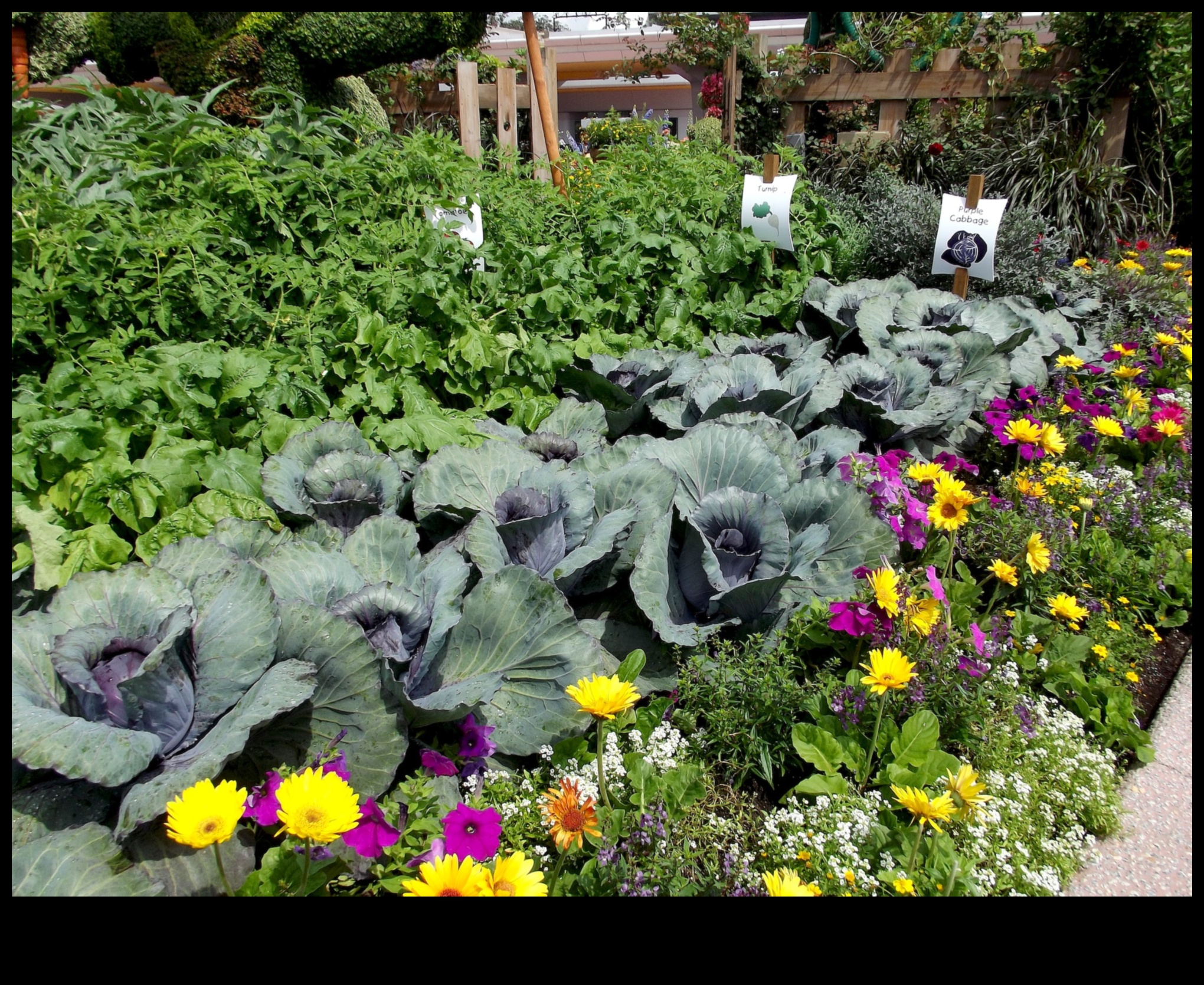 Sēj un pļauj: ceļvedis ziedošajiem dārziem