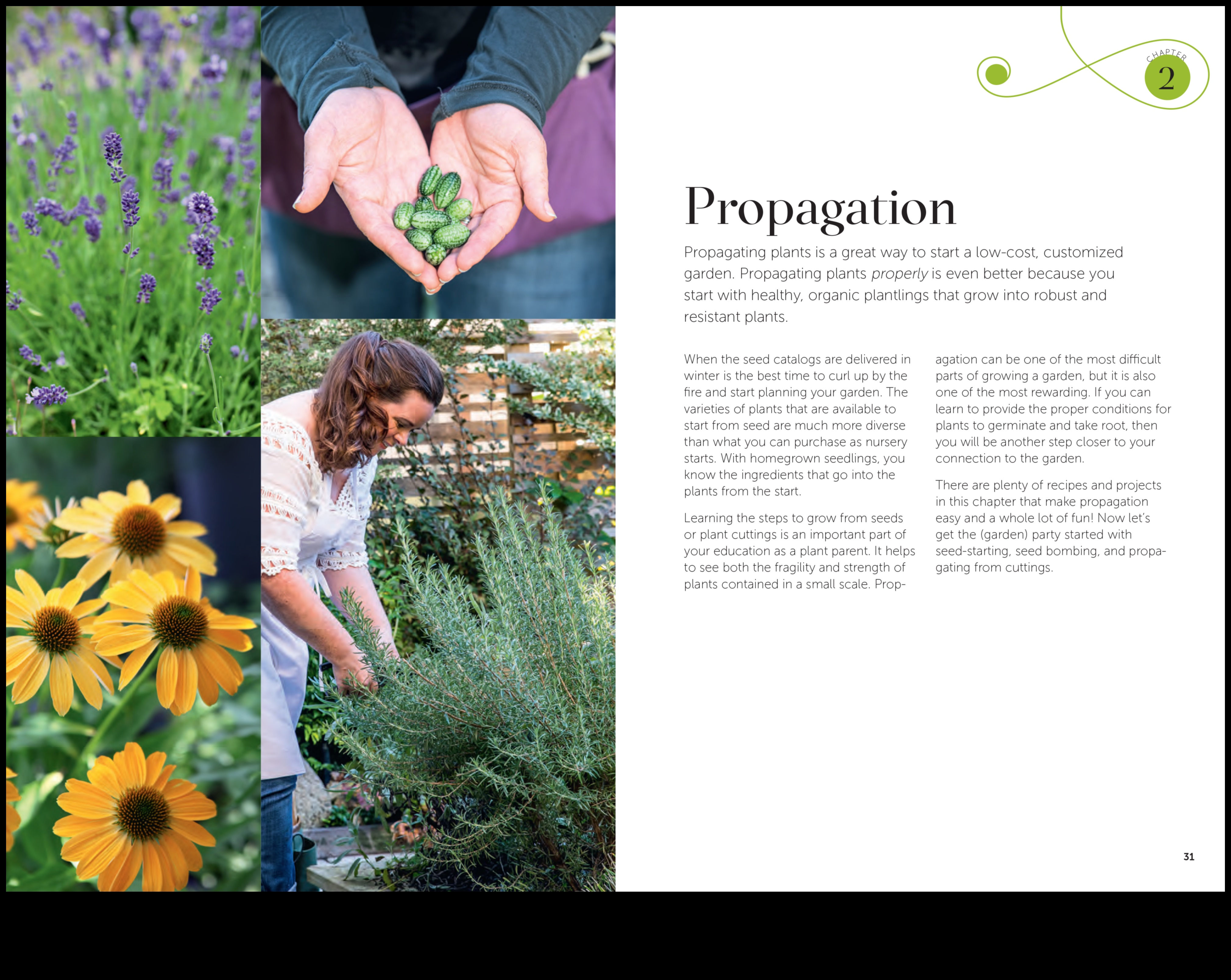 Dārza alķīmija: pārveidojoši padomi satriecošu rezultātu sasniegšanai