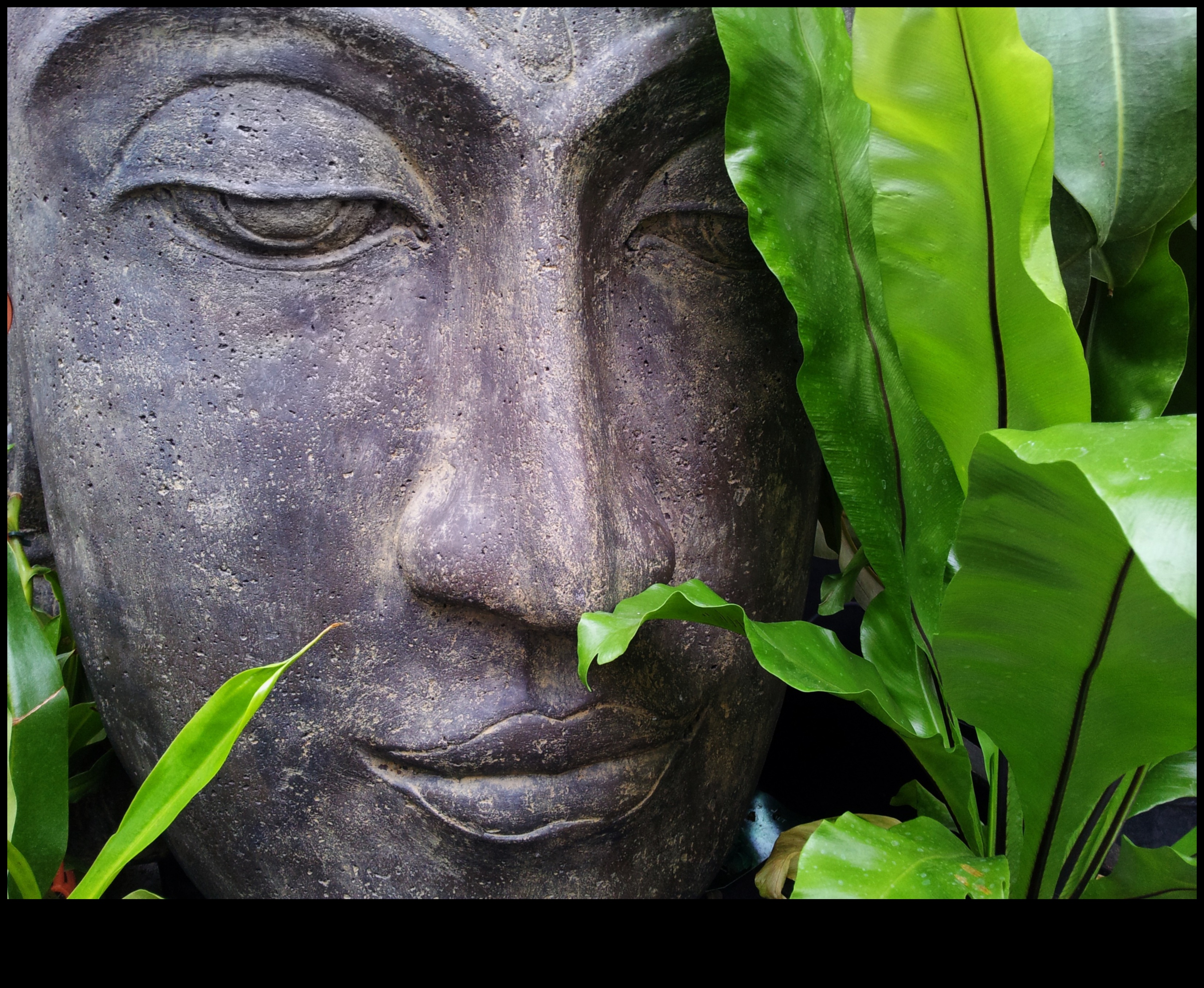 Tēlniecības miers: unikāla dārza māksla katram stilam