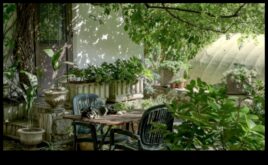 Atklāta Garden Glory Paceliet savu telpu ceļu Top Gear — maigs veids,  izmēģināt savu pagalmu