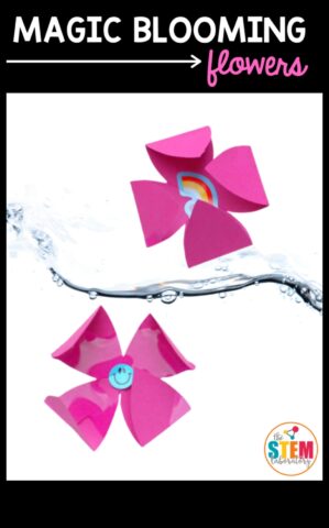 Atlecoši augu valsts — 5 rotaļīgi informācija attiecībā uz bērnudārza veselību