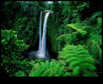 Raksturs piegādā rīku izvēli ilgtspējīgai nākotnei