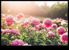 Ārkārtējs vilinājums piešķiriet savam dārza patvērumam māksliniecisku pieskārienu